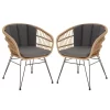 Esszimmerstuhl Gartenstuhl COSTA Im 2er Pack Mit Rattan