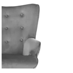 Polstersessel LIGERO Samtbezug In Grau -Berühmt Möbel 94006 2