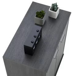 Schuhschrank LENNIS 2 Türen In Esche Grau -Berühmt Möbel 95449 4