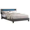 Polsterbett COLUMBUS 140x200 Cm, LED Beleuchtung, Kunstleder Grau